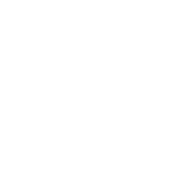 Shark Logo